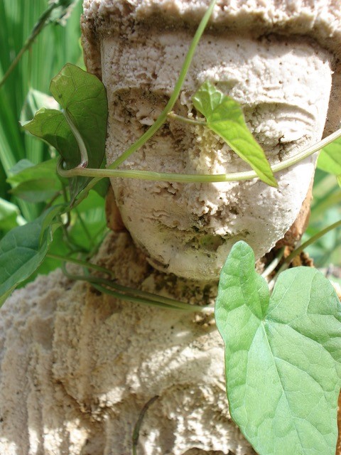 buddha with leaves